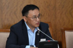 Ж.Чинбүрэн: Эмийн зах зээлийн монополь компаниудыг өөгшүүлдэг тогтолцоог хална