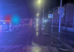 Тогтоол усанд унасан цахилгааны утаснаас тогонд цохиулж гэмтжээ