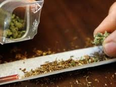 Каннабис түүж, худалдаалдаг бүлэг этгээдүүдийг баривчилжээ