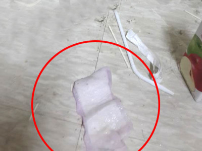 Тамирчдын хоолонд хийсэн дамскийг Монголдоо шинжлүүлэхээр авчиржээ