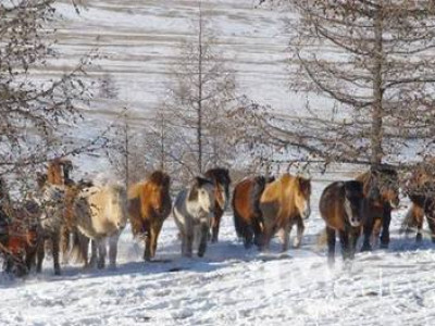 Цагдаагийн байгууллагаас сэрэмжлүүлж байна