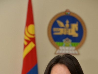 МоАХ түүхэн үүргээ гүйцэтгэж амжаагүй байгаа