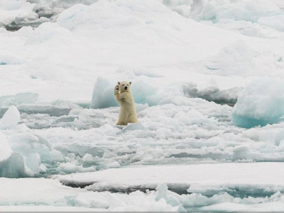 2014 оны байгалийн шилдэг гэрэл зургууд