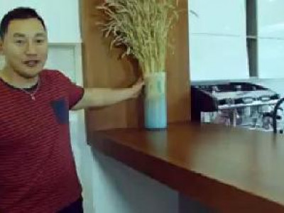 Жүжигчин Амараагийн олны нүдийг орой дээр нь гаргасан тансаг хаус