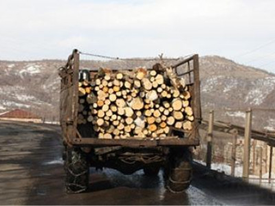 Модны хулгайчид тэнсэн харгалзах ял оноов