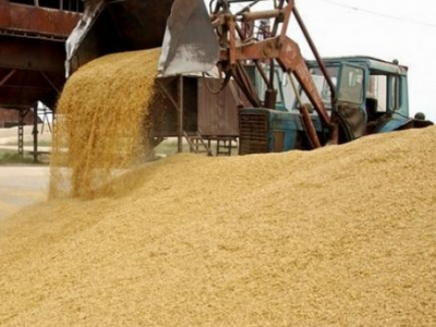 Улаанбуудайн урамшууллыг олгож эхэлнэ