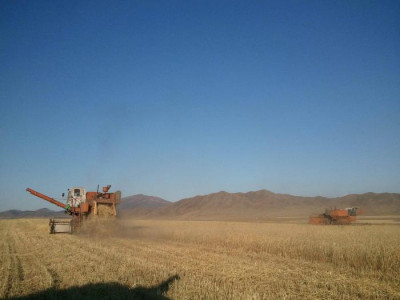 Тариаланчдад 25 тэрбум төгрөгийн урамшуулал олгоно