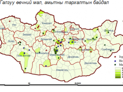 34 суманд галзуу өвчин бүртгэгджээ