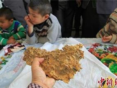 Зам дээрээс шижир алт олжээ