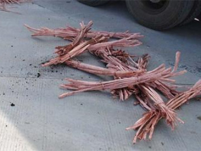 Машиндаа 200 кг зэс нуужээ