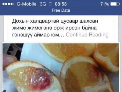 ДОХ-той жимс орж ирсэн үү