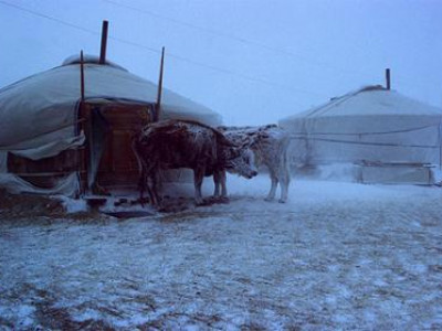 Сураггүй болсон иргэд малтайгаа шуурганд уруудсан байжээ