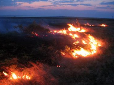 Улсын хэмжээнд дөрвөн мянган га газар түймэрт шатжээ