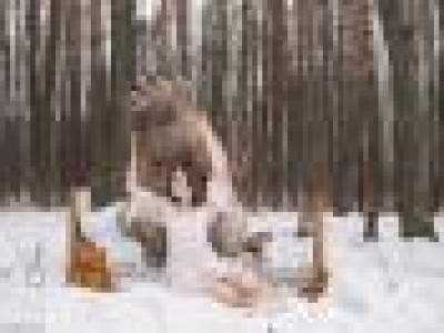 Стивен баавгай оросын загвар өмсөгчтэй тун ч загварлаг