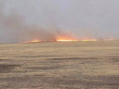 Түймрийн голомтод ажиллаж байгаа иргэд, алба хаагчдад хандив өгнө