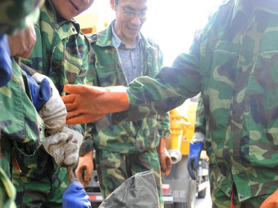 Хятадын бохирын шугамаас юу гардаг вэ?