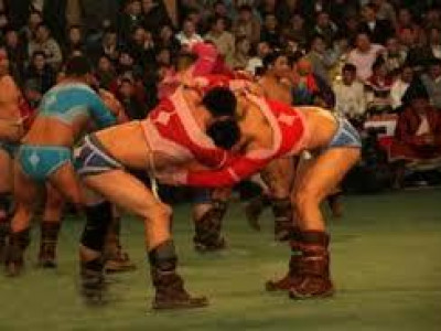 Начин, харцагуудын халз барилдаан энэ сард болно