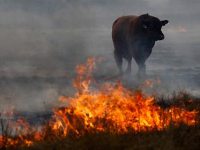 Малчид эрүүл мэндээрээ хохирч байна