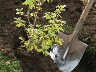 Эмчлүүлэгчдэд эко орчин чухал