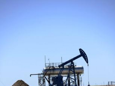 “Петройчайна Дачин Тамсаг” компанитай холбоотой 200 гаруй өргөдөл иржээ 