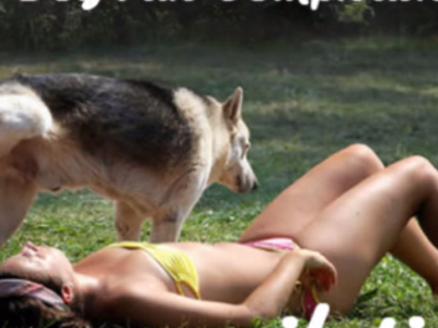 Болдоггүй сахилгагүй нохойнууд