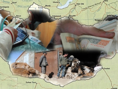 Эрэмдэг эдийн засгаа эмчилъе
