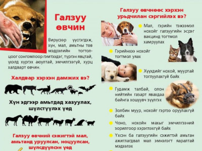 Галзуу өвчний сэрэмжлүүлэг !!!