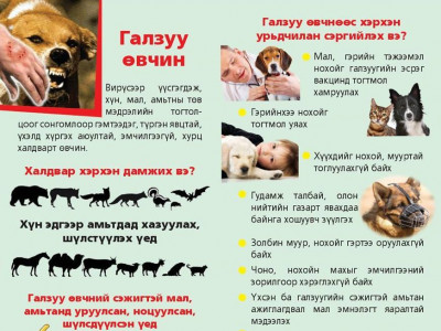 Галзуу өвчний сэрэмжлүүлэг