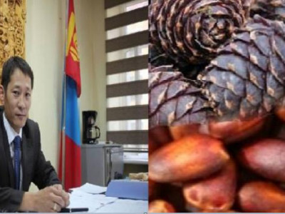 БОАЖЯ-ны “хурган дарга” 150 сая төгрөгийн авлига авсан байж магадгүй