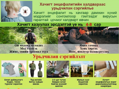 Хачигт халдвараас сэргийлэхийг анхааруулж байна 