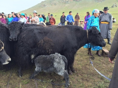 Архангайд 