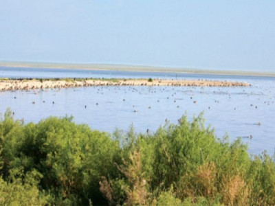 Нуурын усанд морьтойгоо живсэн иргэнийг эрэн хайж байна