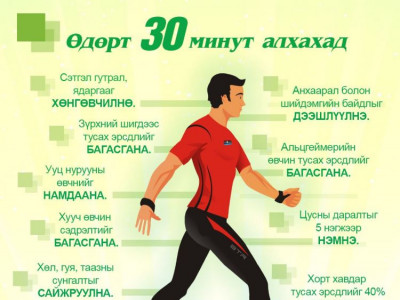 Өдөрт 30 минут алхах нь эрүүл мэндэд ямар ач тустай вэ?