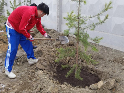 Үндэсний үйлдвэрлэгчид нийтийн эзэмшлийн 380 ам.метр талбайг моджууллаа
