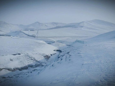 Арабчууд малчдыг ад үзэж байна