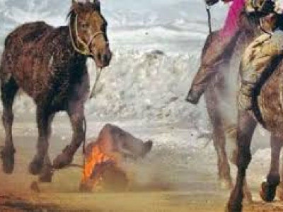 Даварсан уяачдад даруулга хэрэгтэй