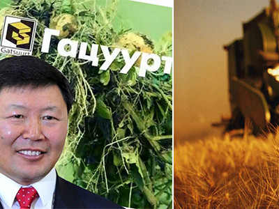 “Гацуурт” ХХК 2 сан-гаас авсан зээлээ төлөхгүй, улсад хохирол учруулжээ