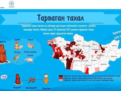 Тарваган тахал өвчний халдварлах зам, урьдчилан сэргийлэх аргууд
