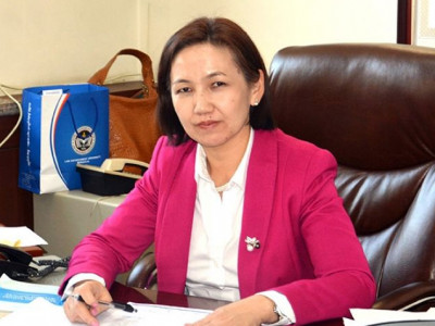 Д.Сүнжид: 1992 оны үндсэн хуулийн үзэл баримтлалыг бид огт хөндөхгүй байна