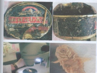 Кильканаас шавьж гарсан  гэж дүгнэсэн Мэргэжлийн хяналт шүүх дээр ялжээ