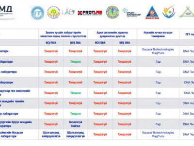 “Элэг бүтэн Монгол”-ын луйвар буюу “Итгэл” төвийн мөнгө угаалт-VII