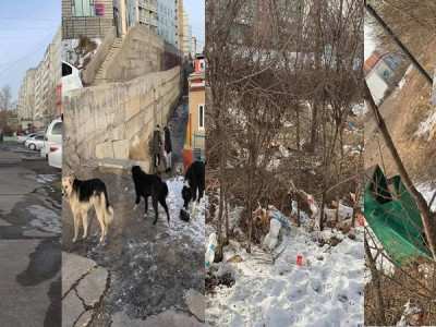 С.Одонтуяа дарга аа, танай дүүрэг эзэнгүй айл шиг л байна