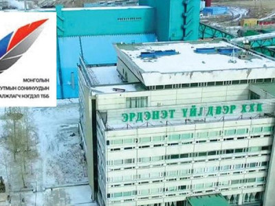 “Саалийн үнээ”-г хашсан нэг жил буюу “пүнз”-нд юу болов