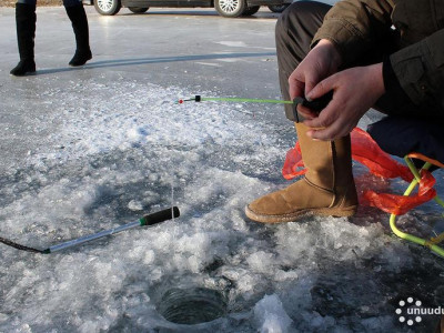 Загасыг үржлийнх нь үед агнавал устах эрсдэлтэй