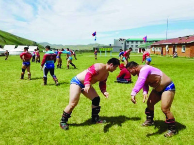 Наадмын түрүү бөх харцага цолтнуудаас тодрох магадлал өндөр байна