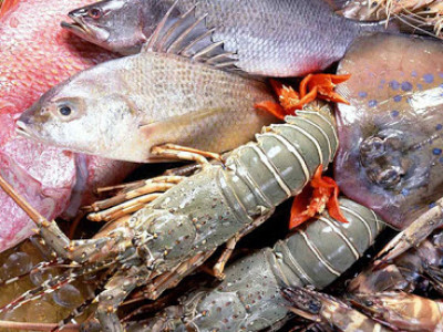 Далайн гаралтай хүнсний бүтээгдэхүүнийг улсын хилээр нэвтрүүлэхгүй