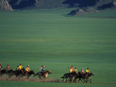 Хязаалан насны морьд гарааны зурхай руу хөдөллөө