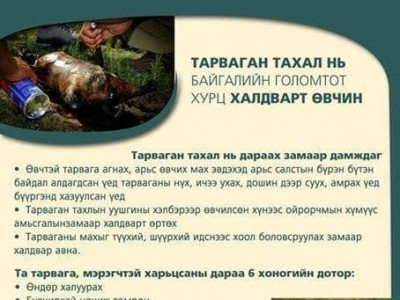 Тарваган тахлын тохиолдол батлагдан Говь Алтай аймгийн Төгрөг суманд хөл хорио тогтоожээ