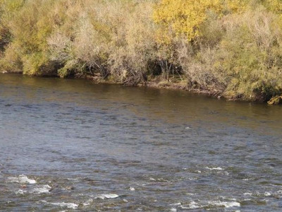 Бэлтэсийн голд машинтайгаа живсэн ТАВАН иргэнийг амиа алдсан байхад нь олжээ 