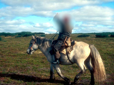 Адуундаа явсан иргэний морь эмээл, тохом нь нойтон, эзэнгүй буцаж иржээ 